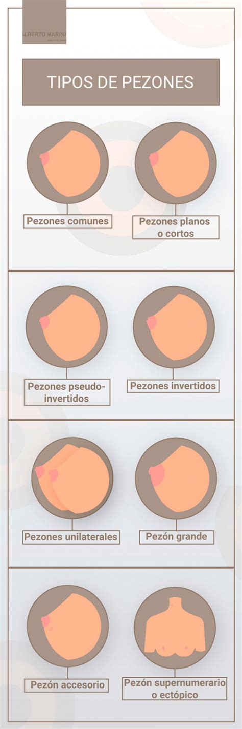 grandes pezones|Tipos de Pechos por Forma y Tamaño Dra. García